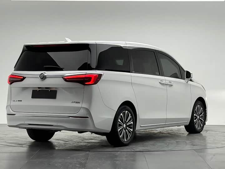 Фото 5 - Buick GL8 ES