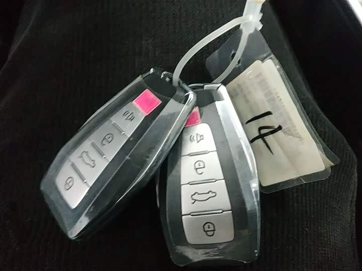 Фото 9 - Geely Jiaji