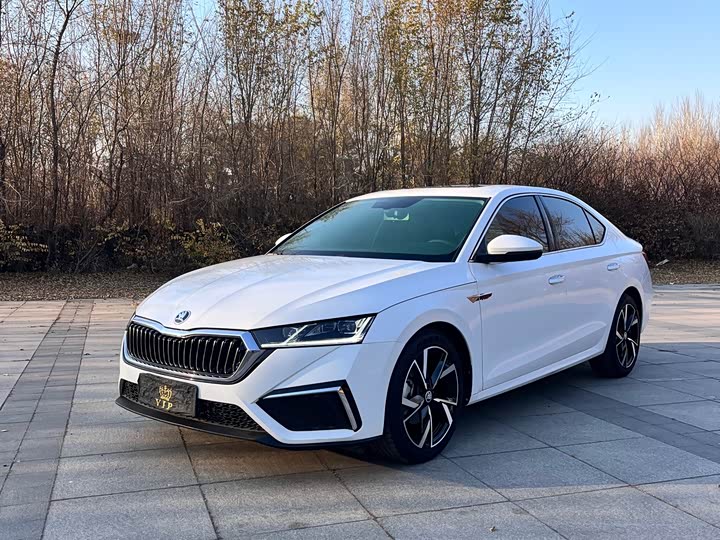 Фото 1 - Skoda Octavia Pro