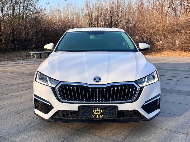 Фото 2 - Skoda Octavia Pro