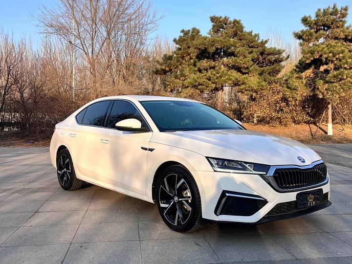 Фото 3 - Skoda Octavia Pro