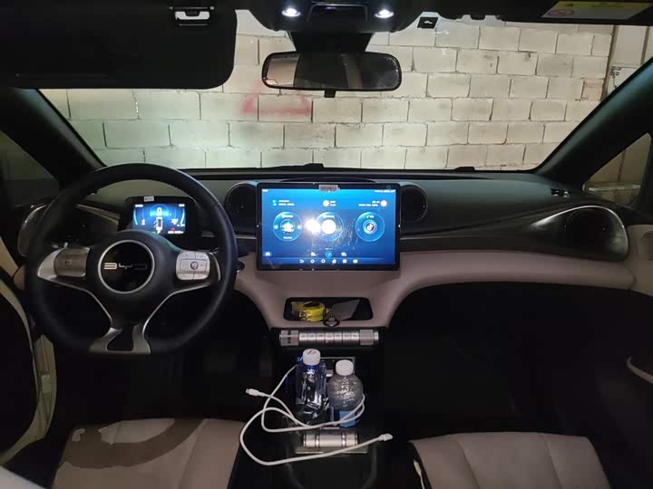 Фото 10 - BYD Dolphin