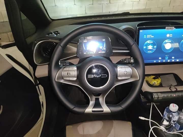 Фото 11 - BYD Dolphin