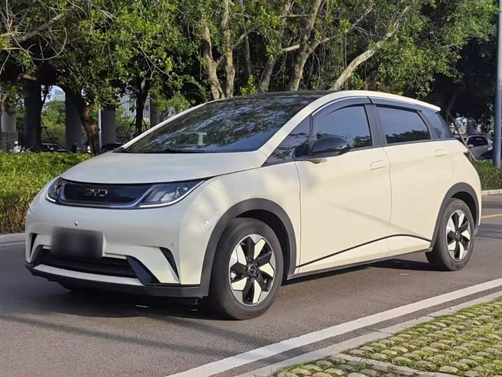 Фото 2 - BYD Dolphin