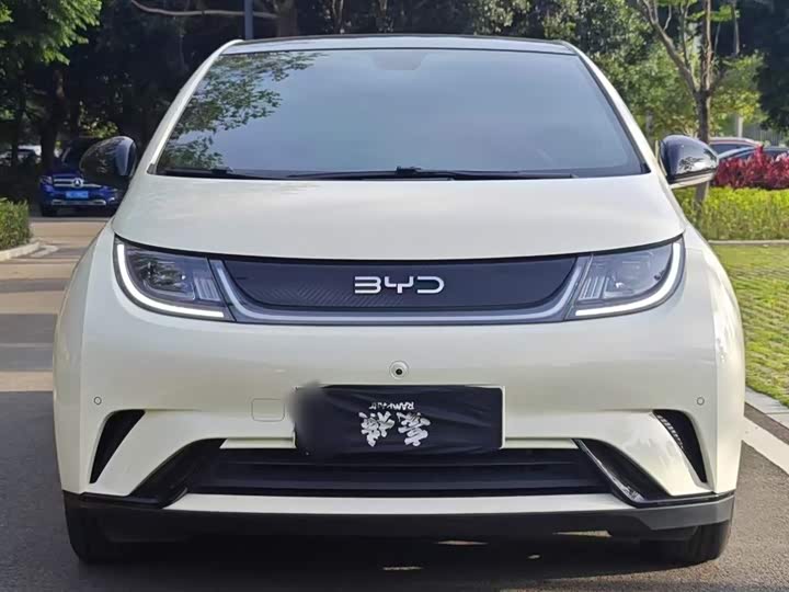 Фото 3 - BYD Dolphin