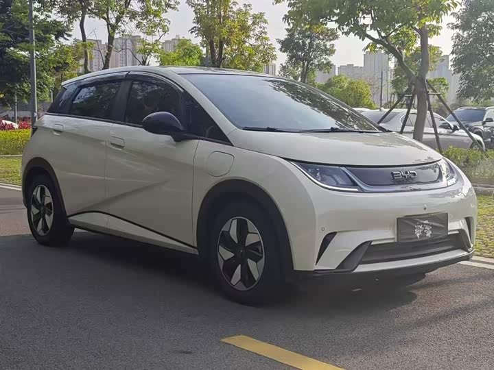 Фото 4 - BYD Dolphin