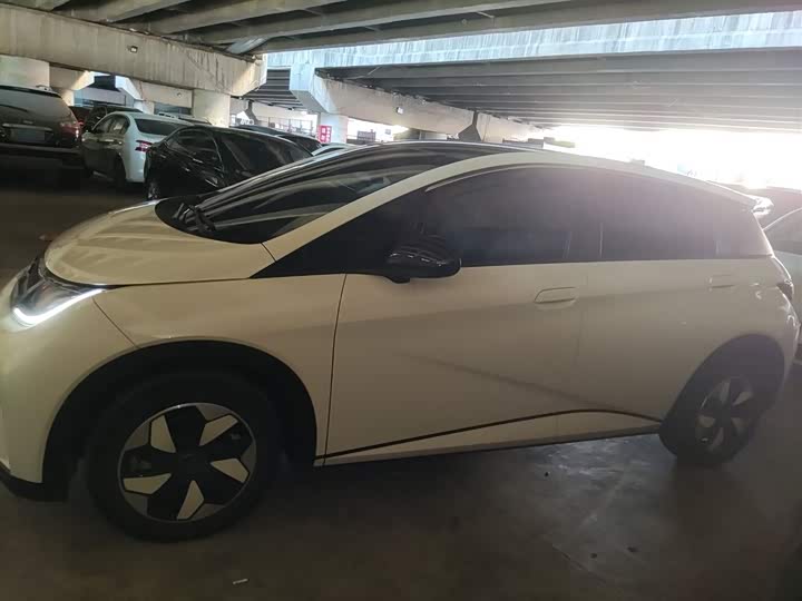 Фото 5 - BYD Dolphin