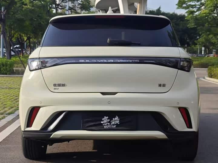 Фото 6 - BYD Dolphin