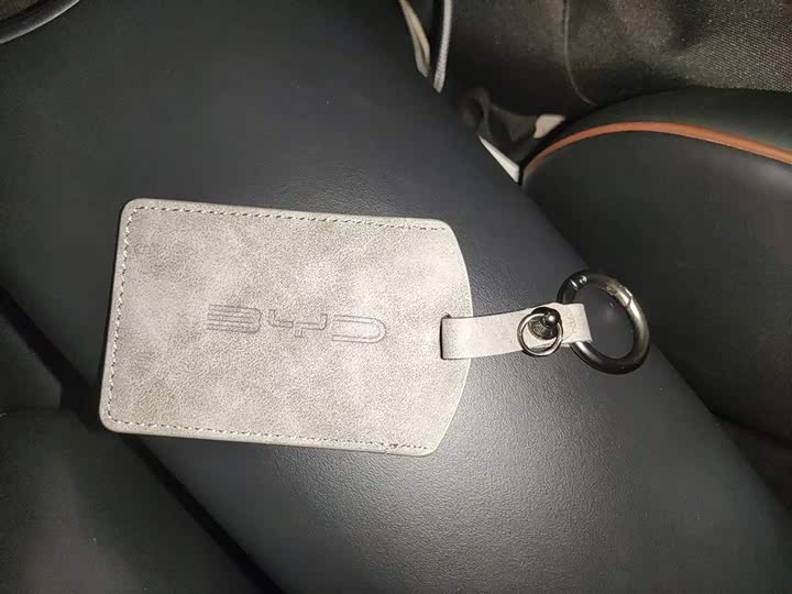 Фото 9 - BYD Dolphin