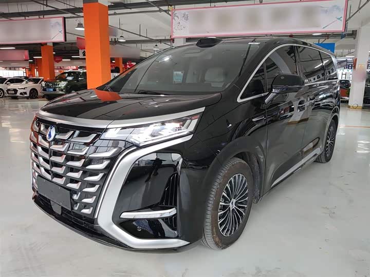 Фото 1 - Denza D9