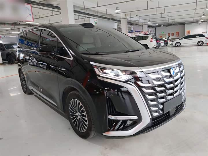 Фото 4 - Denza D9