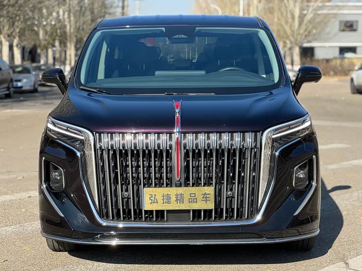 Фото 2 - Hongqi HQ9