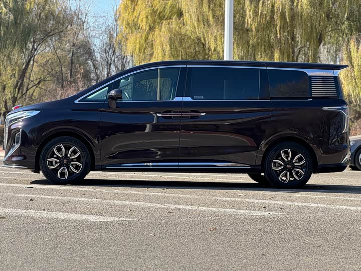 Фото 3 - Hongqi HQ9