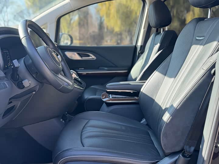 Фото 6 - Hongqi HQ9