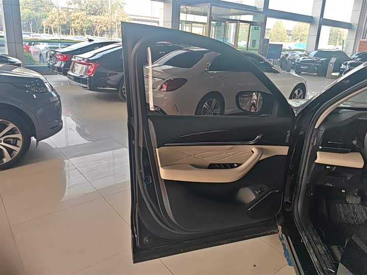 Фото 7 - Geely Monjaro