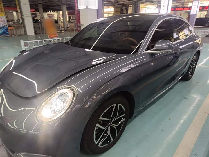 Фото 2 - Ora Lightning Cat (07)