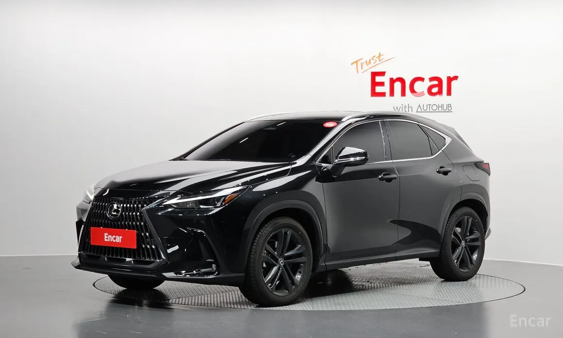 Фото 1 - Lexus NX