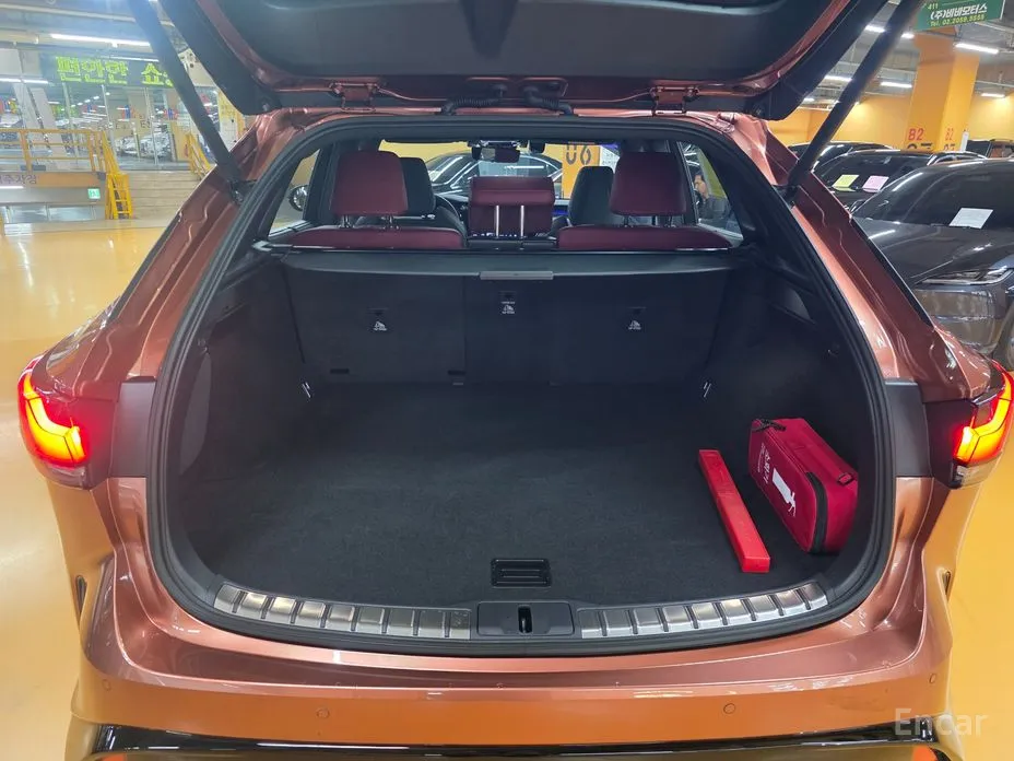 Фото 16 - Lexus RX