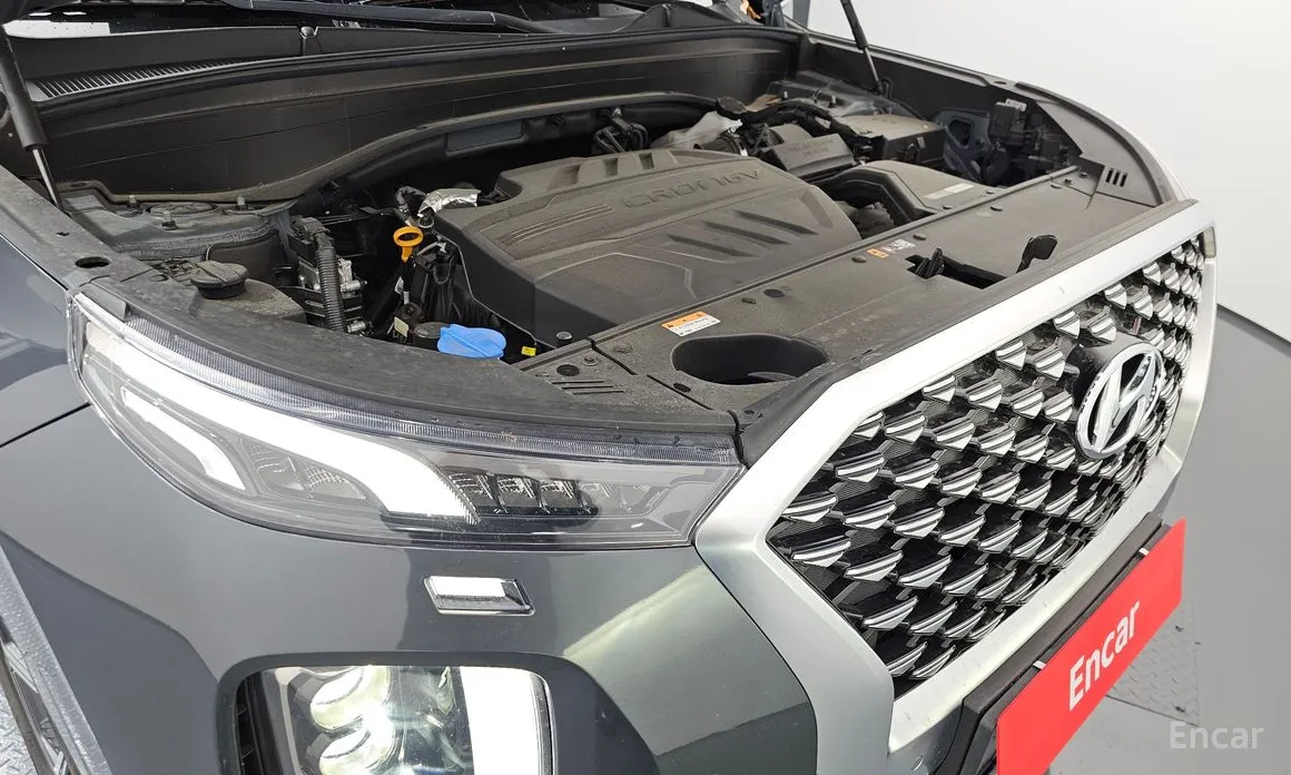 Фото 6 - Hyundai Palisade