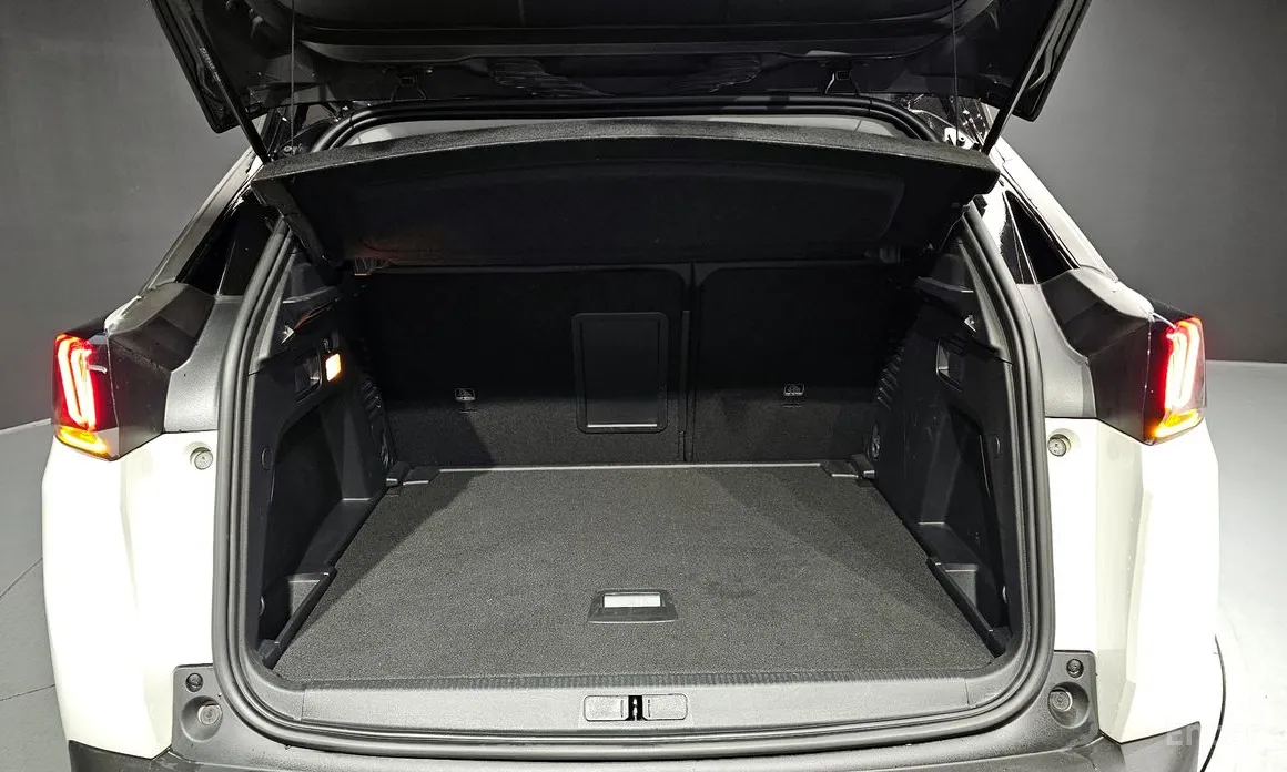 Фото 20 - Peugeot 3008