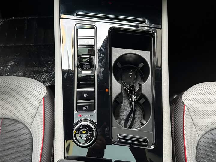 Фото 15 - Volkswagen Teramont X