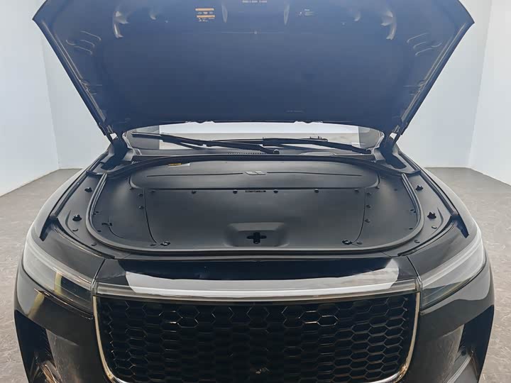 Фото 11 - LiXiang One