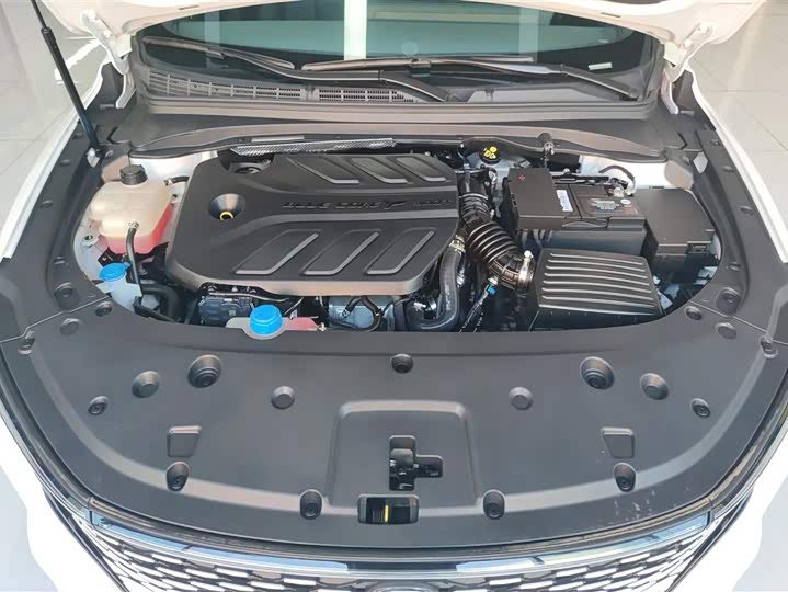 Фото 10 - Changan Raeton Plus