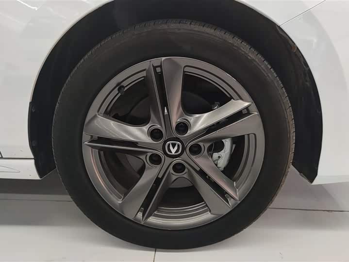 Фото 6 - Changan Raeton Plus