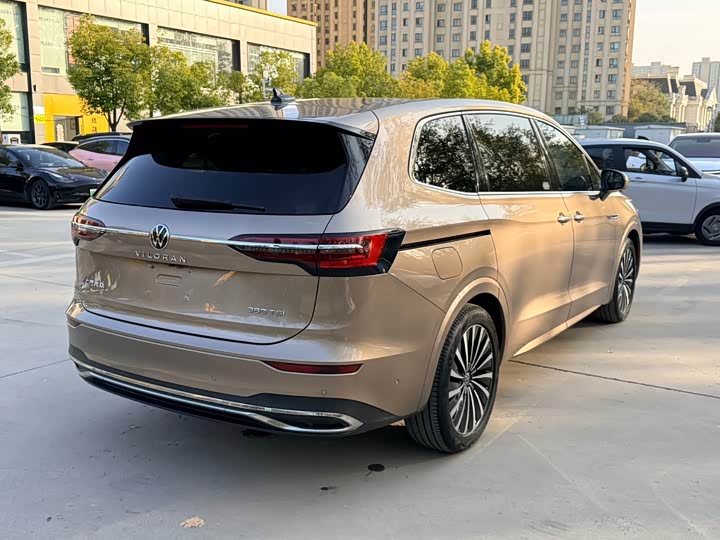 Фото 4 - Volkswagen Viloran