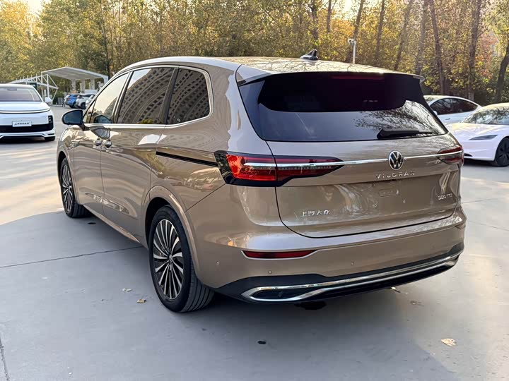 Фото 7 - Volkswagen Viloran