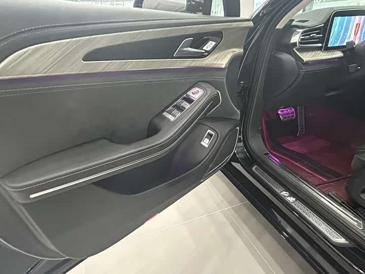 Фото 6 - Hongqi H9