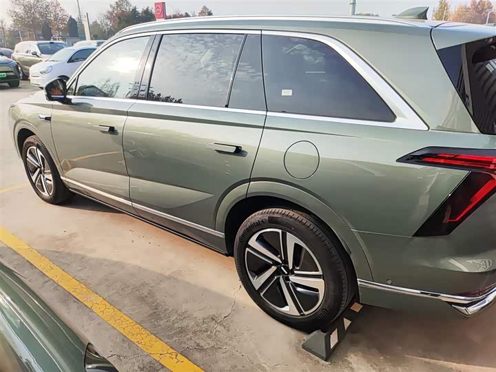 Фото 5 - Wey Lanshan