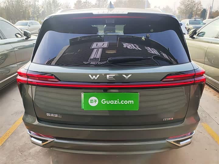 Фото 6 - Wey Lanshan