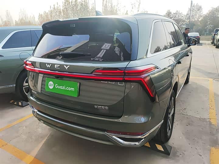 Фото 7 - Wey Lanshan