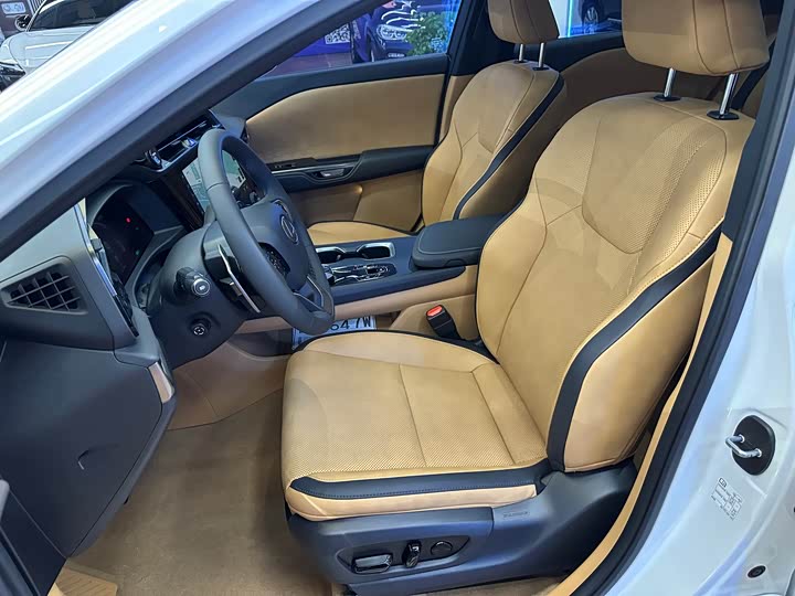 Фото 11 - Lexus RZ