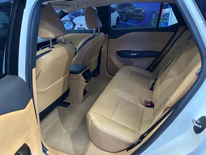 Фото 19 - Lexus RZ