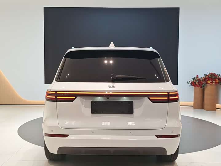 Фото 5 - LiXiang One