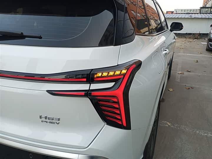 Фото 8 - Hongqi HS3 Hybrid