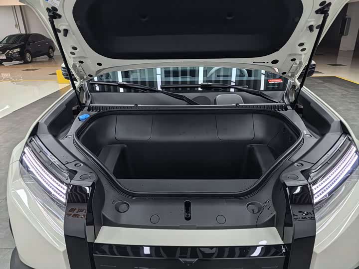 Фото 18 - BYD FangChengBao Titanium 3 (Tai 3)