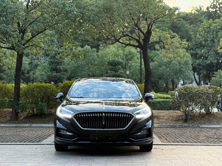 Фото 3 - Hongqi H5