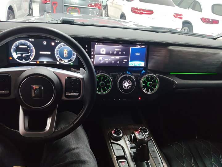 Фото 10 - Tank 300