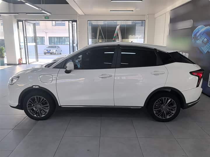 Фото 5 - Hozon V