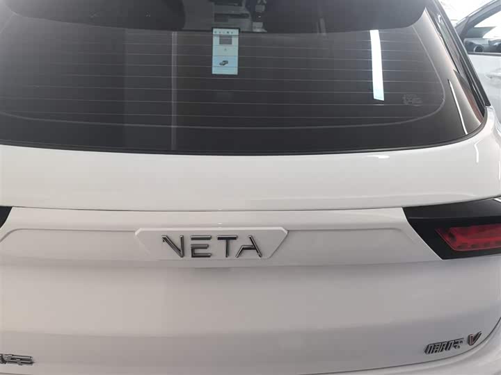 Фото 6 - Hozon V