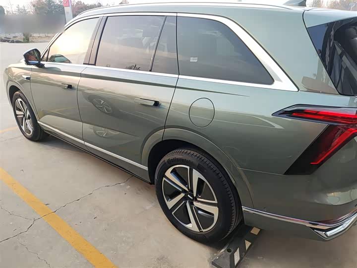 Фото 5 - Wey Lanshan