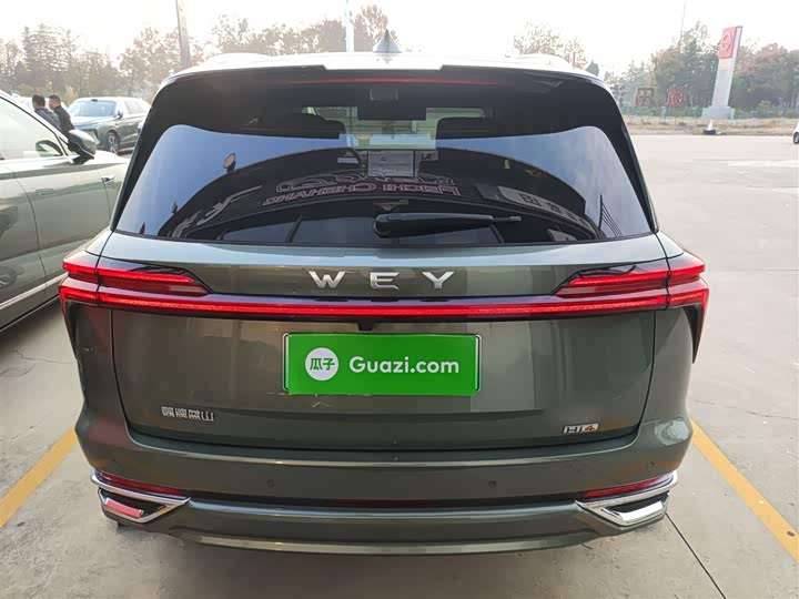 Фото 6 - Wey Lanshan