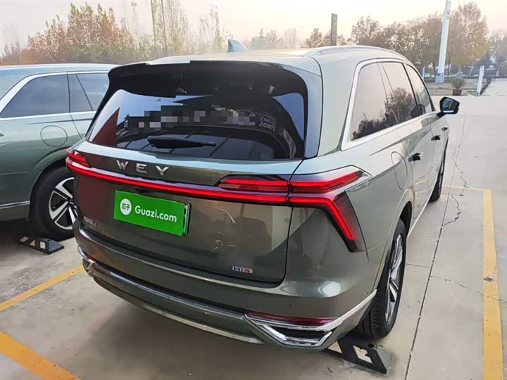 Фото 7 - Wey Lanshan