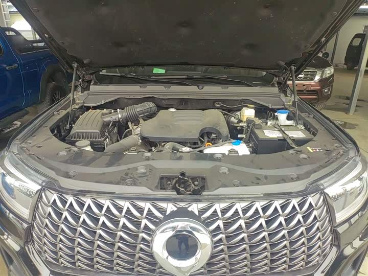 Фото 10 - Great Wall Pao