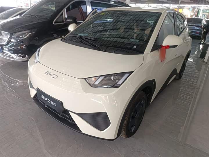 Фото 1 - BYD Seagull