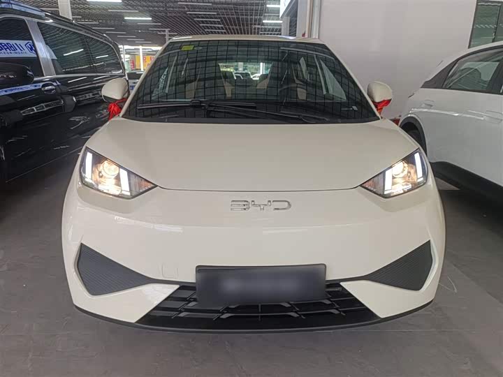 Фото 3 - BYD Seagull