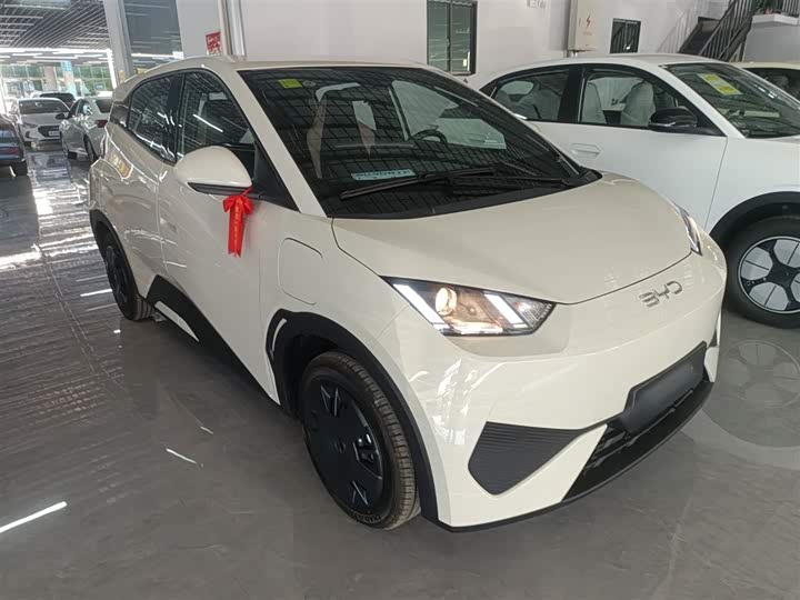 Фото 4 - BYD Seagull